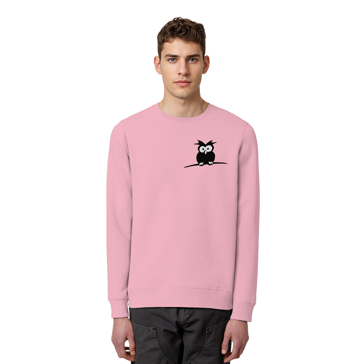 Kleine struppige Eule - Organic Basic Unisex Sweatshirt