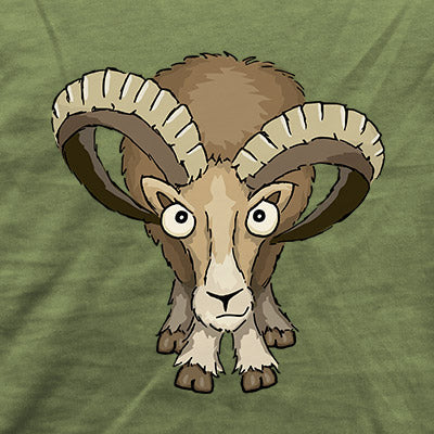 Bockiges Mufflon Widder Schafbock