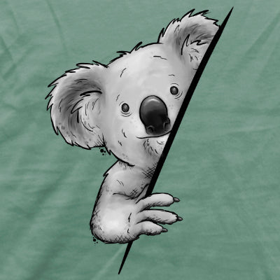 Koala Bär Illustration