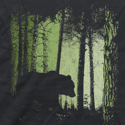 Braunbär im Zwielicht Wald