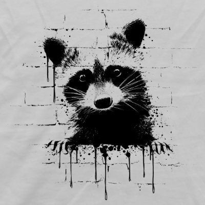 Funky Street Art Waschbär