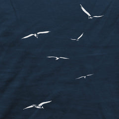 Vogelschwarm – Traum vom Fliegen
