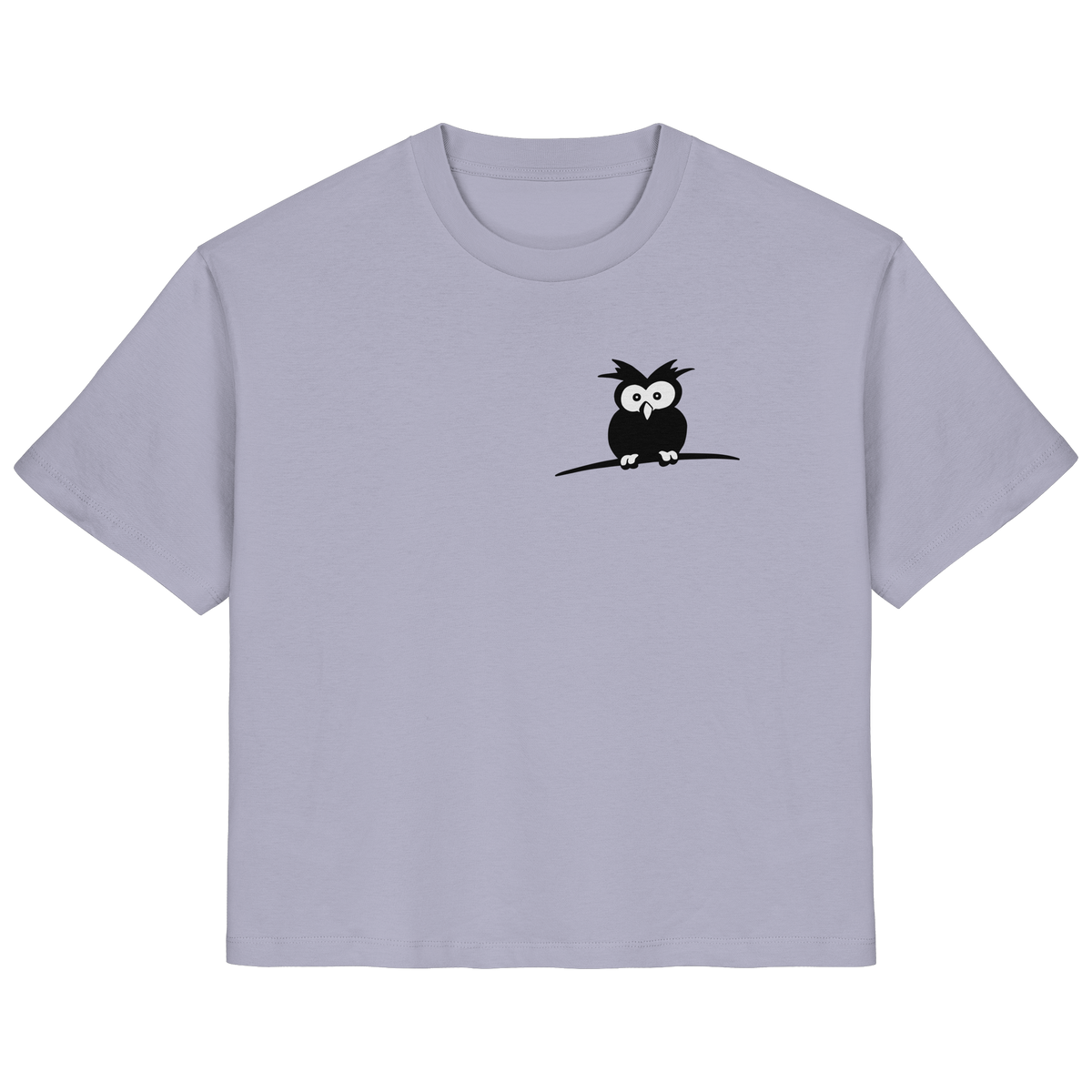 Kleine struppige Eule - Ladies Organic Shirt