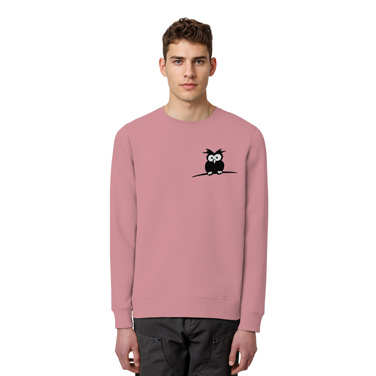 Kleine struppige Eule - Organic Basic Unisex Sweatshirt