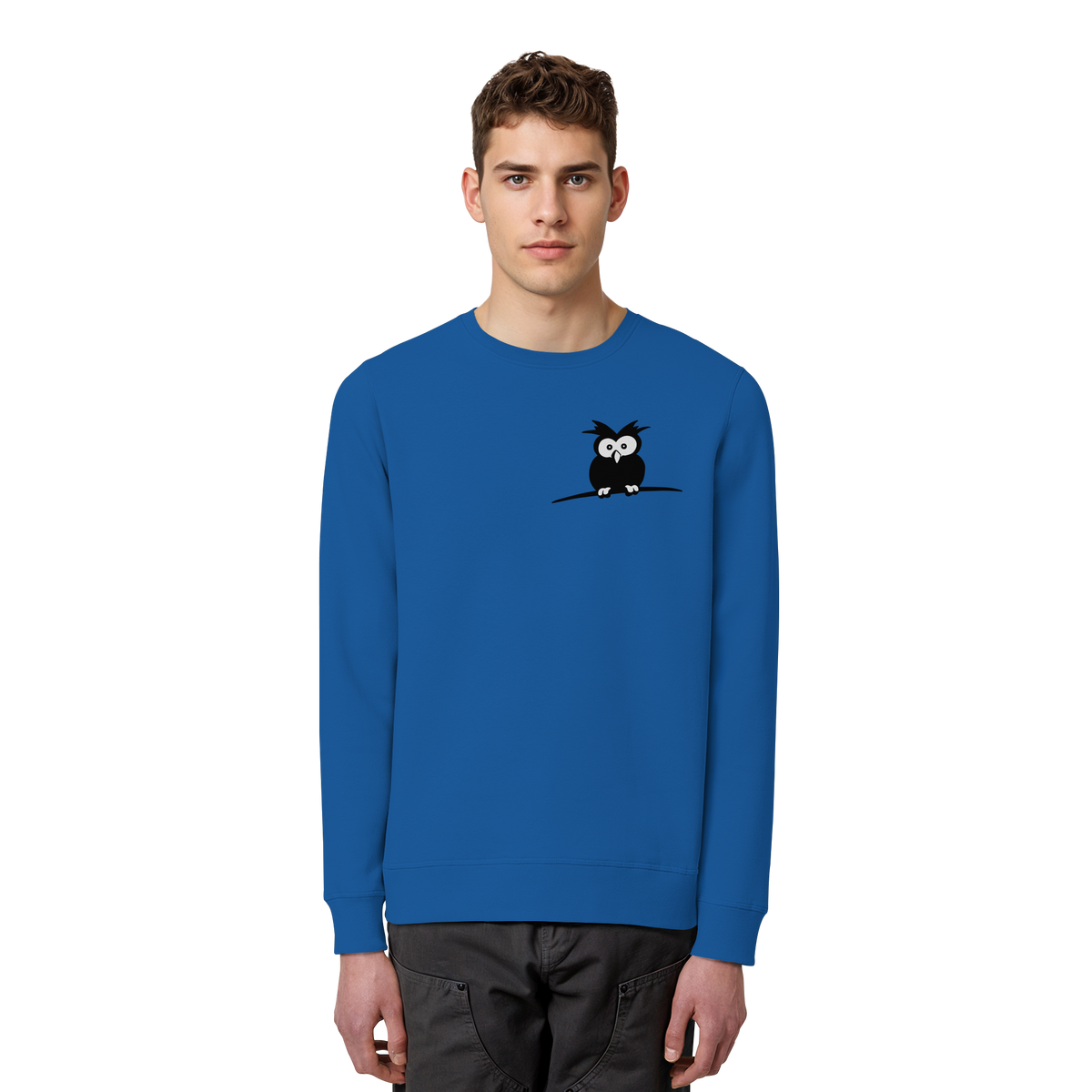 Kleine struppige Eule - Organic Basic Unisex Sweatshirt