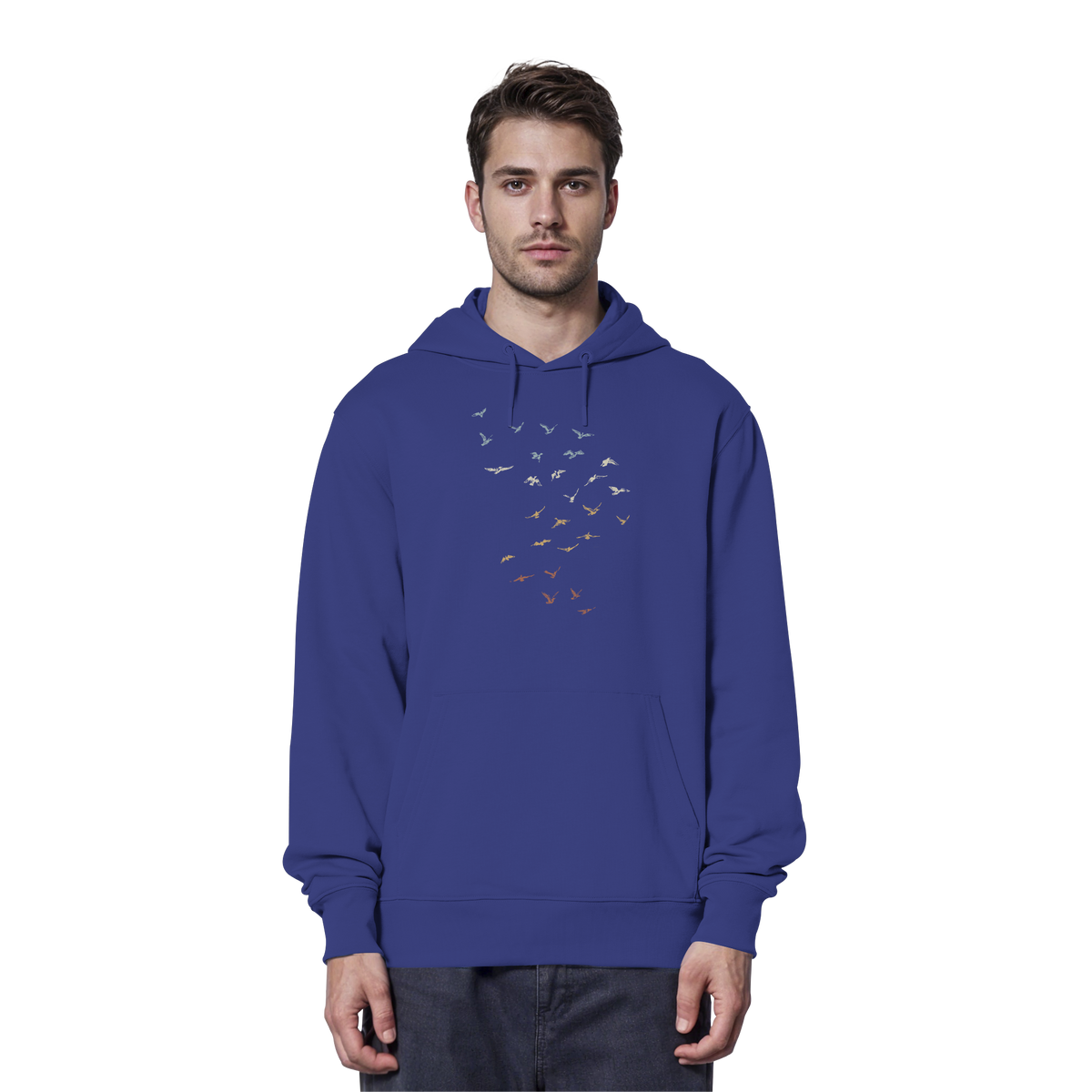 Retro Vogel Schwarm - Organic Hoodie