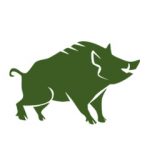 zu den Wildschweinen