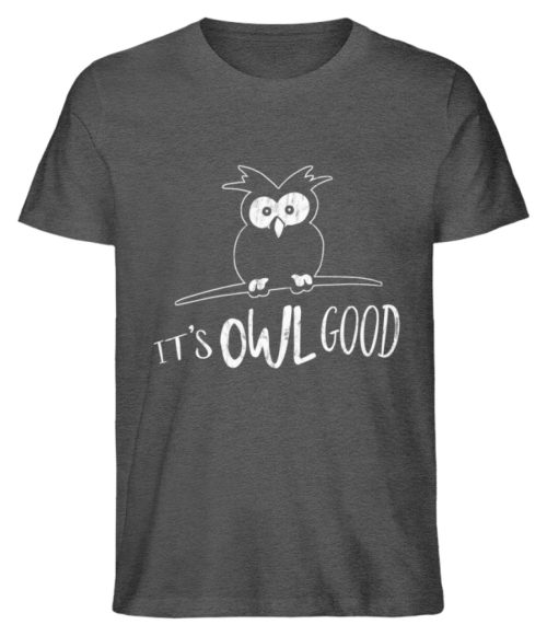 Its OWL good | Easy-Going Eule - Herren Premium Organic Shirt-6898