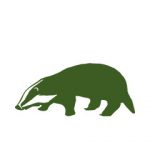 Dachse zu den Dachsen