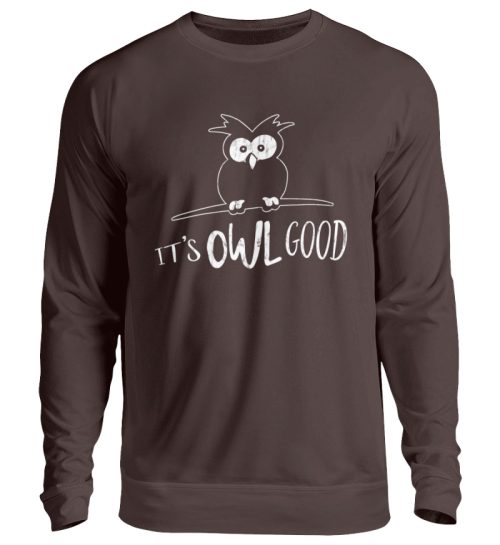 Its OWL good | Easy-Going Eule - Unisex Pullover-1604
